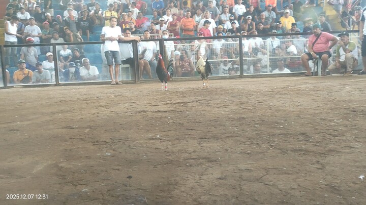 dec 7 win hackfight limay mega cockpit