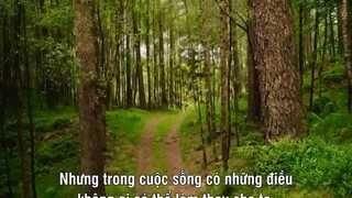 Ngọn núi bông tuyết: Thử thách trưởng thành EP 5 [Sub Việt]