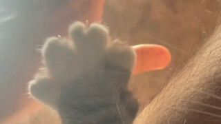 点它一下，它就开花，好可爱呀