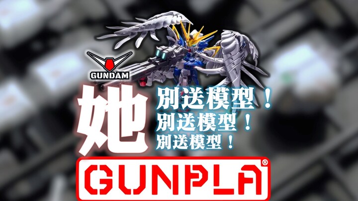 听劝，别送模型！