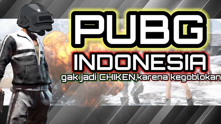 PUBG INDONESIA[kegoblokan yang mengakibatkan terjadinya GAK JADI CHIKEN]