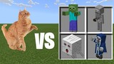 Realistic Cat vs Minecraft