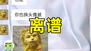 Who was the first person on the internet to use a leopard avatar? A detailed look at how the leopard