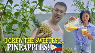Harvesting the FIRST THING I EVER PLANTED in the PHILIPPINES! 🇵🇭 Countryside Life - PROVINCE VLOG