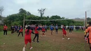 volley ball