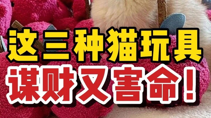 Jangan Beli Tiga Mainan Kucing Ini Lagi—Bisa Merugikan Keuangan dan Mengancam Nyawa!