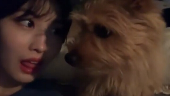 บู: คุณมีมารยาทไหม?