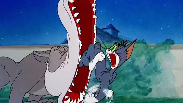 【Tom and Jerry】การแสดงส่วนตัวของทอม