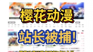 曾陪你追番的樱花动漫 运营者终审判刑