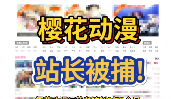 曾陪你追番的樱花动漫 运营者终审判刑