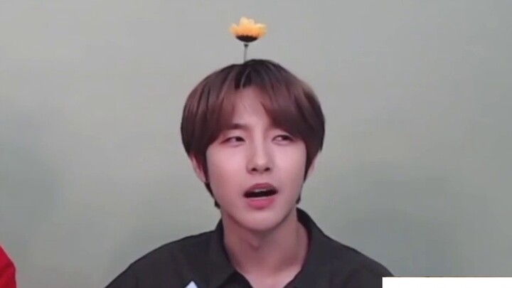 Huang Renjun: I don't speak Northeastern dialect when I'm not excited.