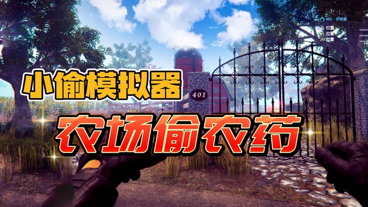 محاكي اللص: هل يكفي تغيير القفل لردعك؟ سأستمر في السرقة بلا هوادة!