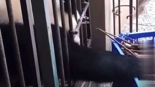 一根笋笋？不！是一筐笋笋！