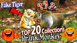 Top 20 Fake Tiger Prank Dog and Monkey Very Funny 2021