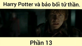 Harry Potter và bảo bối tử thần phần 13