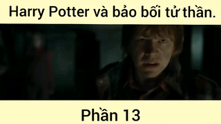 Harry Potter và bảo bối tử thần phần 13