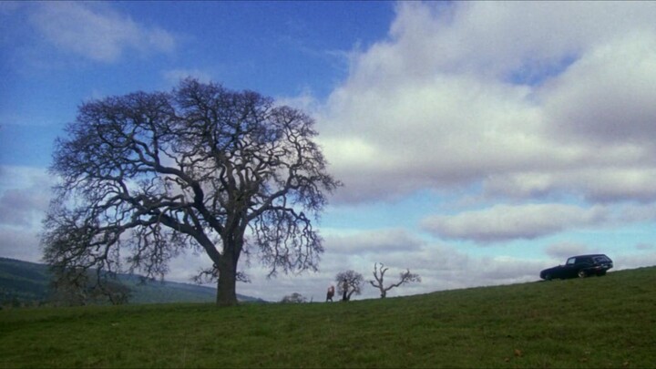 harold and maude (1971)