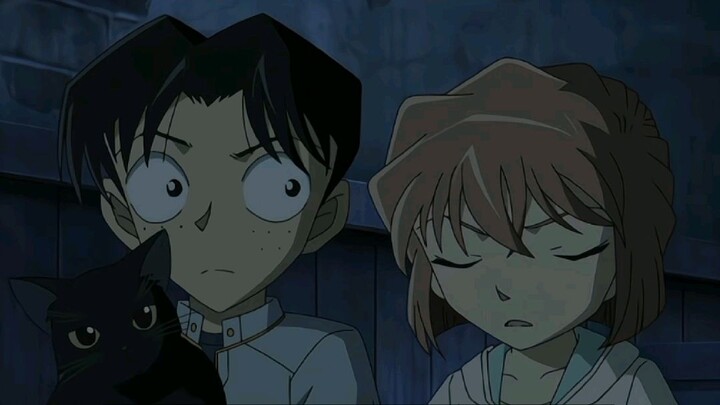 Mitsuhiko ghen với con mèo chỉ vì Haibara!?