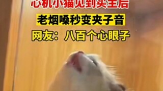 心机猫见买主，烟嗓秒变夹子音～