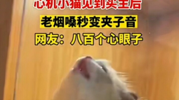 心机猫见买主，烟嗓秒变夹子音～