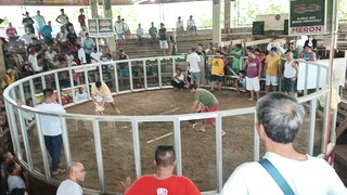 Pula vs puti, sa pula tayo