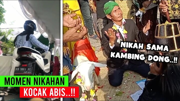 Ada Yang Nikah Sama Kambing..!! Deretan Momen Kocak Di Acara Nikahan - Part 7