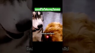 แบบนี้ไม่ได้นะหนูไม่ยอม