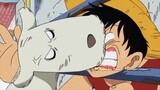 Khi Luffy chọc chó. #Cảnh Cảm Động vô One Piece