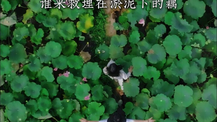 《藕花深处》 你只看到我的阳光，哪里知道我深埋泥泞的深处#泽华君 #灰色故事 #emo