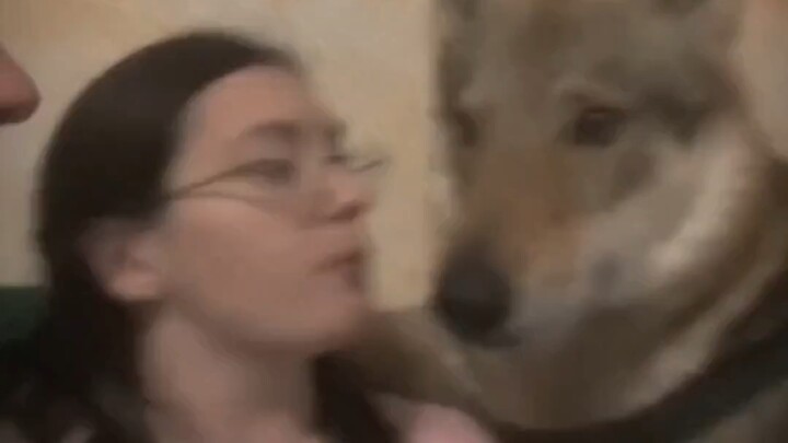 شيو غاو: أيتها المرأة، في النهاية أنت زائدة عن الحاجة