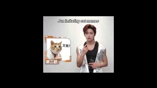 He's a cat 😼 #seventeen #jun