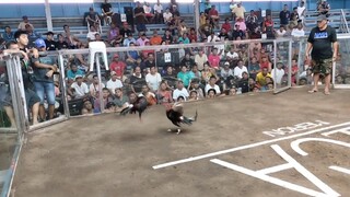 Winnn @NICA hackfight