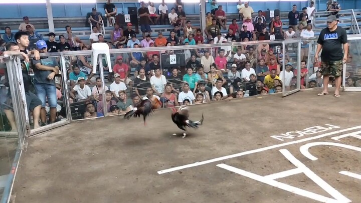 Winnn @NICA hackfight