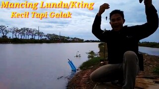 Mancing Ikan Lundu Auto Panen