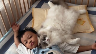 Kucing saya sudah sangat pandai menidurkan anak-anak...