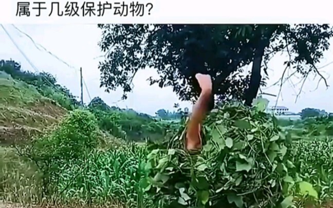 Hài hước là nghiêm túc…