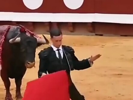 Bull; Still trying to act? Get up and keep pretending!