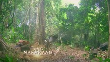 Mulawin vs Ravena-Full Episode 16