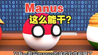 Manus是啥？真的有那么厉害？[波兰球]