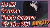 Có Lẽ Sasuke Thích Sakura Từ Lâu Rồi