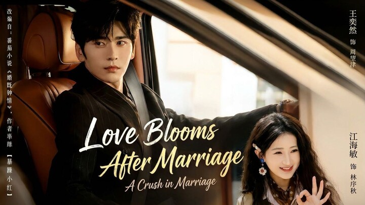 Love Blooms After Marriage