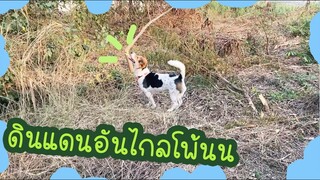 โลกของแสนดี ตอน หมาน้อยนักผจญภัย