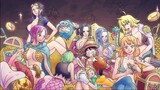 Những nhân vật có dàn Harem khủng trong One Piece