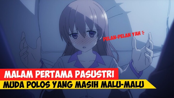 KETIKA BARU KENAL LANGSUNG NGAJAK NIKAH | Seluruh Alur cerita anime tonikaku kawaii (2020)