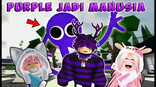 AKHIRNYA PURPLE RAINBOW FRIENDS MENJADI MANUSIA KEMBALI feat @BANGJBLOX | ROBLOX