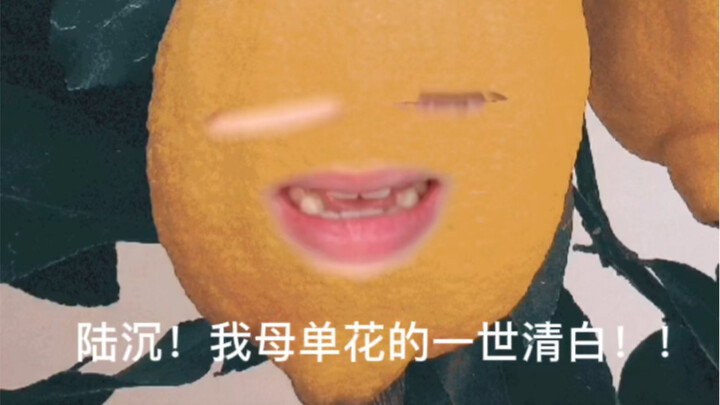 Lu Chen, what are you going to do to repay me for what you owe me!!!