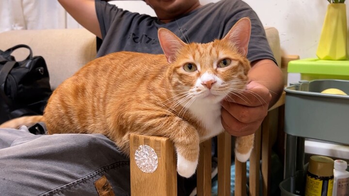 Em trai tôi và bạn gái đến nhà chơi, còn “xã giao cực đỉnh” Đại Hoàng thì có cách đãi khách kiểu: Ai