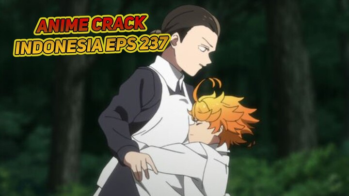 Kesempatan dalam kesempitan | Anime Crack Indonesia Episode 237