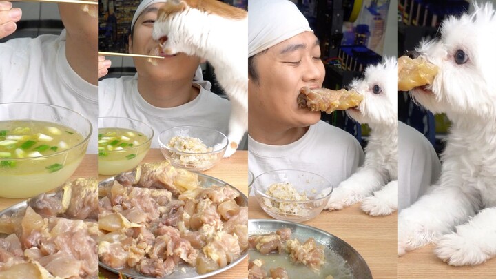 Rốt cuộc đây là mukbang của người hay mukbang của thú cưng