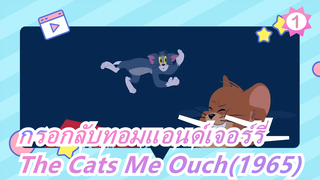 ทอมแอนด์เจอร์รี่|จะเกิดอะไรขึ้นเมื่อกรอกลับ?The Cats Me Ouch(1965)_1